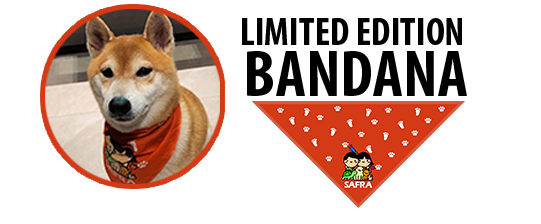 BDO website bandana