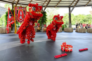 lion dance YS