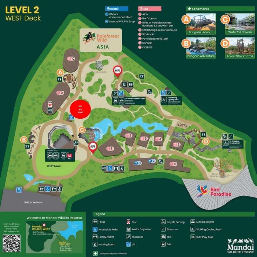 Rainforest-Wild-Asia-Map