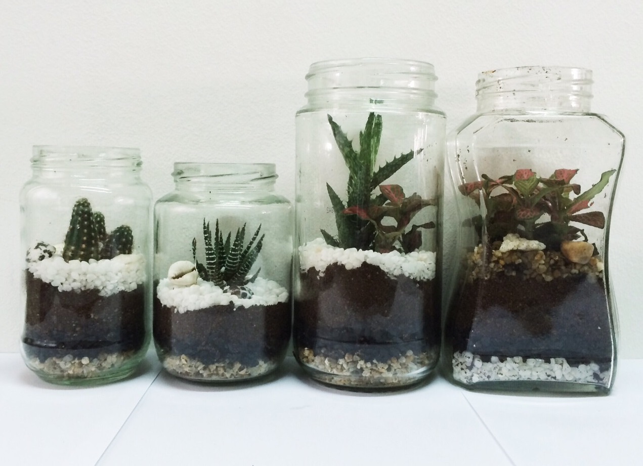 Terrarium using coffee containers